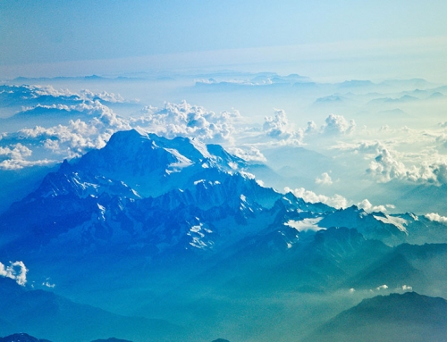 Blending with Nature